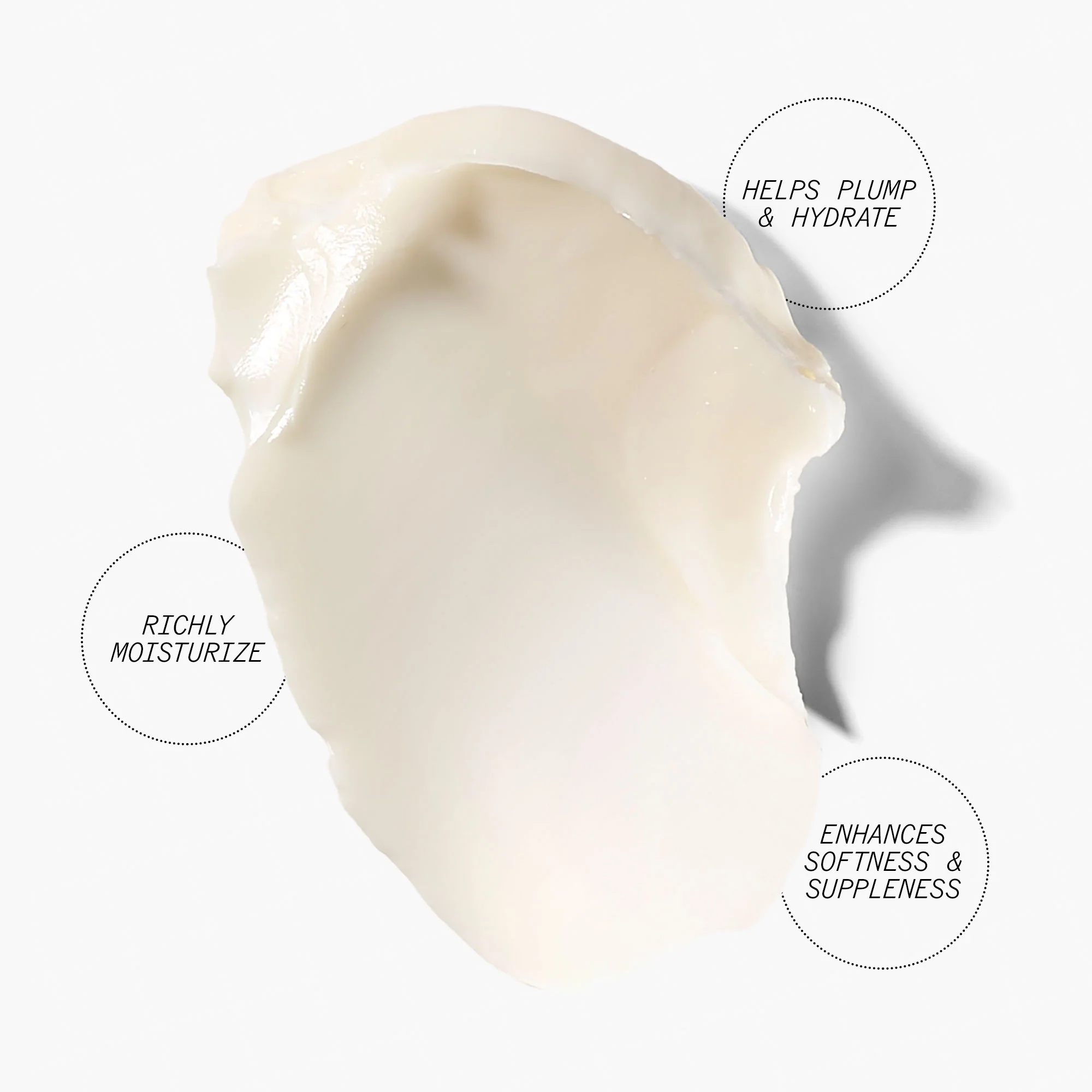 Anti-Wrinkle Ceramide Overnight Cream - Image 6